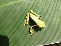 IMG_20221221_110831162