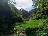 IMG_20221225_093553160_HDR