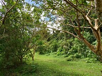 IMG_20221225_103054976_HDR