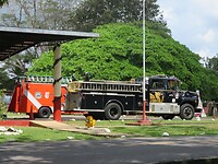 IMG_8583