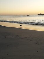 IMG_20230107_063823397