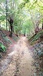 IMG_20200905_112212