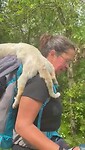 VID-20220513-WA0012