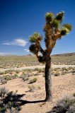 Death Valley