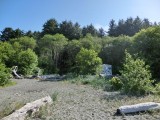 Patcheedath Campground