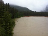 Bow river out of control