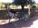 De mountainbike