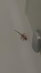 IMG-20230722-WA0069
