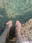 Visjes