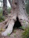 Voor Saskia