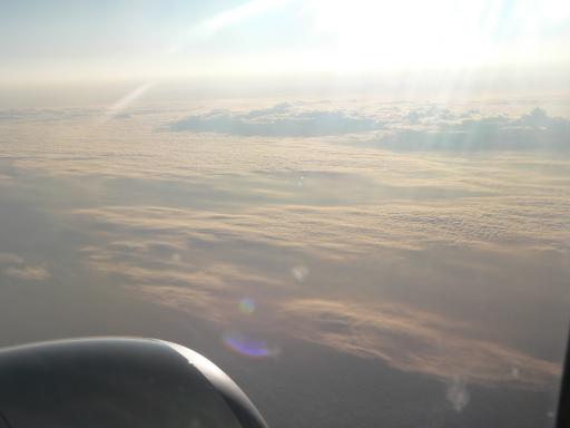Vlucht8