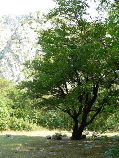 Paklenica 10