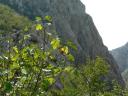Paklenica 17
