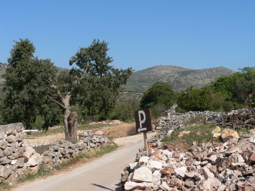 P1050603