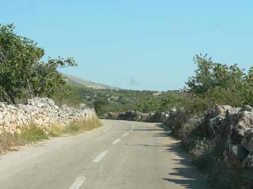 P1050610