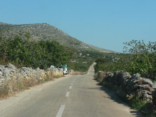 P1050611