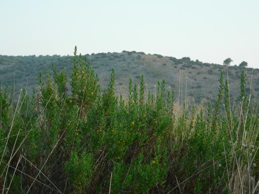 P1050694