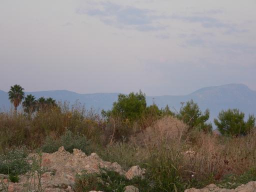 P1050697