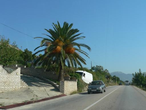P1050721