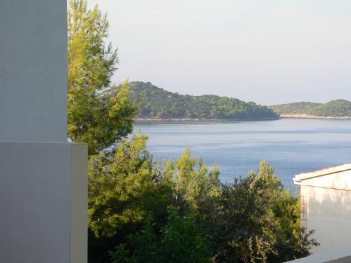 P1060036