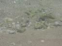 P1060060