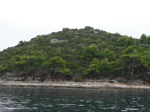 P1060103