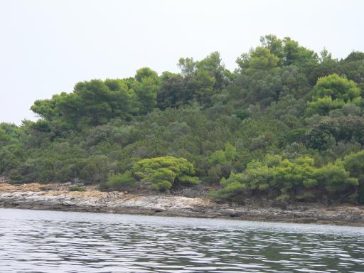 P1060109