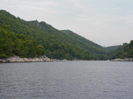 P1060135