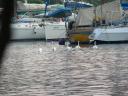 Skradin 6