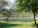 Np Krka 3