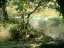 NP Krka 12