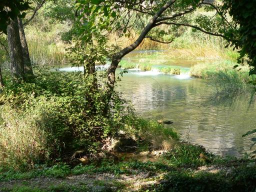 NP Krka 12