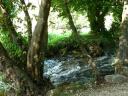 NP Krka 13