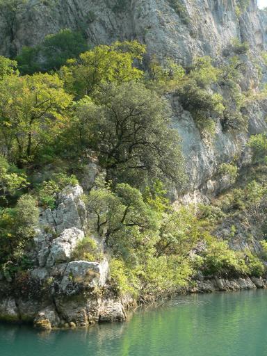 NP Krka 36