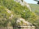 NP Krka 41