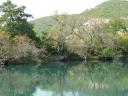 NP Krka 43