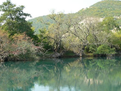 NP Krka 43