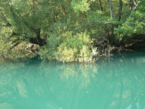 NP Krka 53