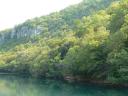 NP Krka 54