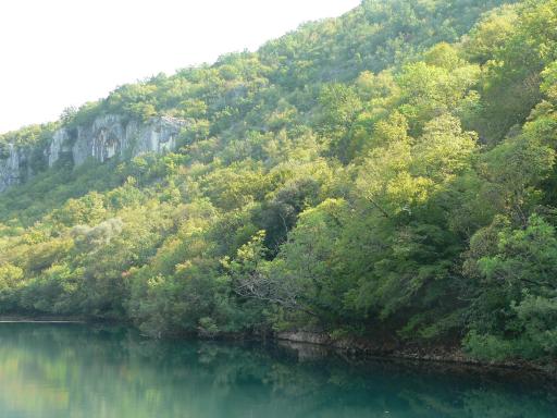 NP Krka 54
