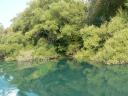 NP Krka 59