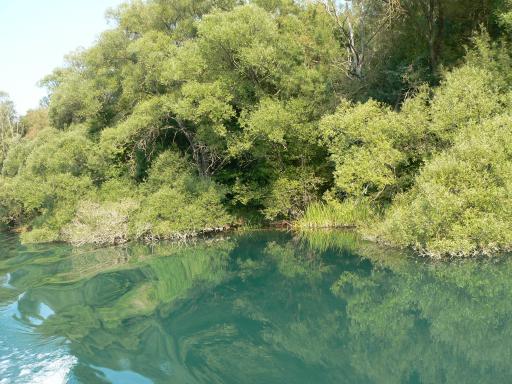 NP Krka 59