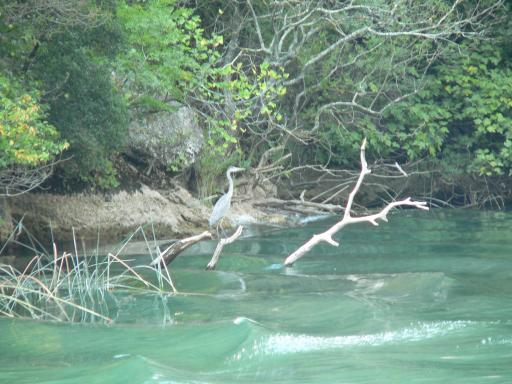 NP Krka 63