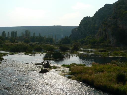 NP Krka 79