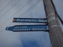 lees bord