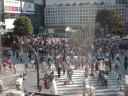 de bekende Shibuya crossing