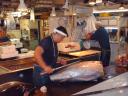 Tokyo fishmarket