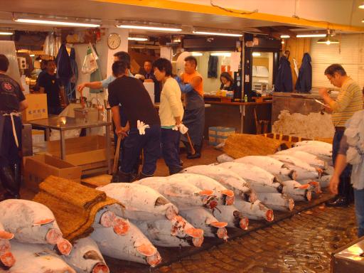 Tokyo fishmarket
