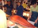 Tokyo fishmarket