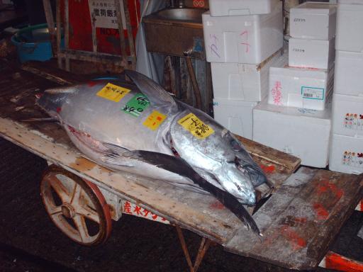 Tokyo fishmarket